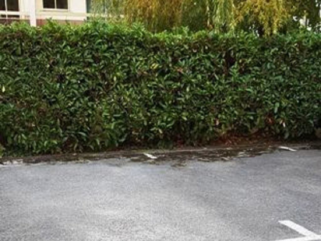 Parking LE PERREUX SUR MARNE 75€ C3Z-IMMOBILIER